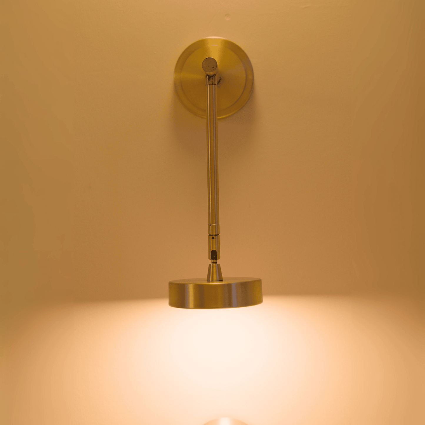 Modern Brass Wall Sconce with Adjustable Arm