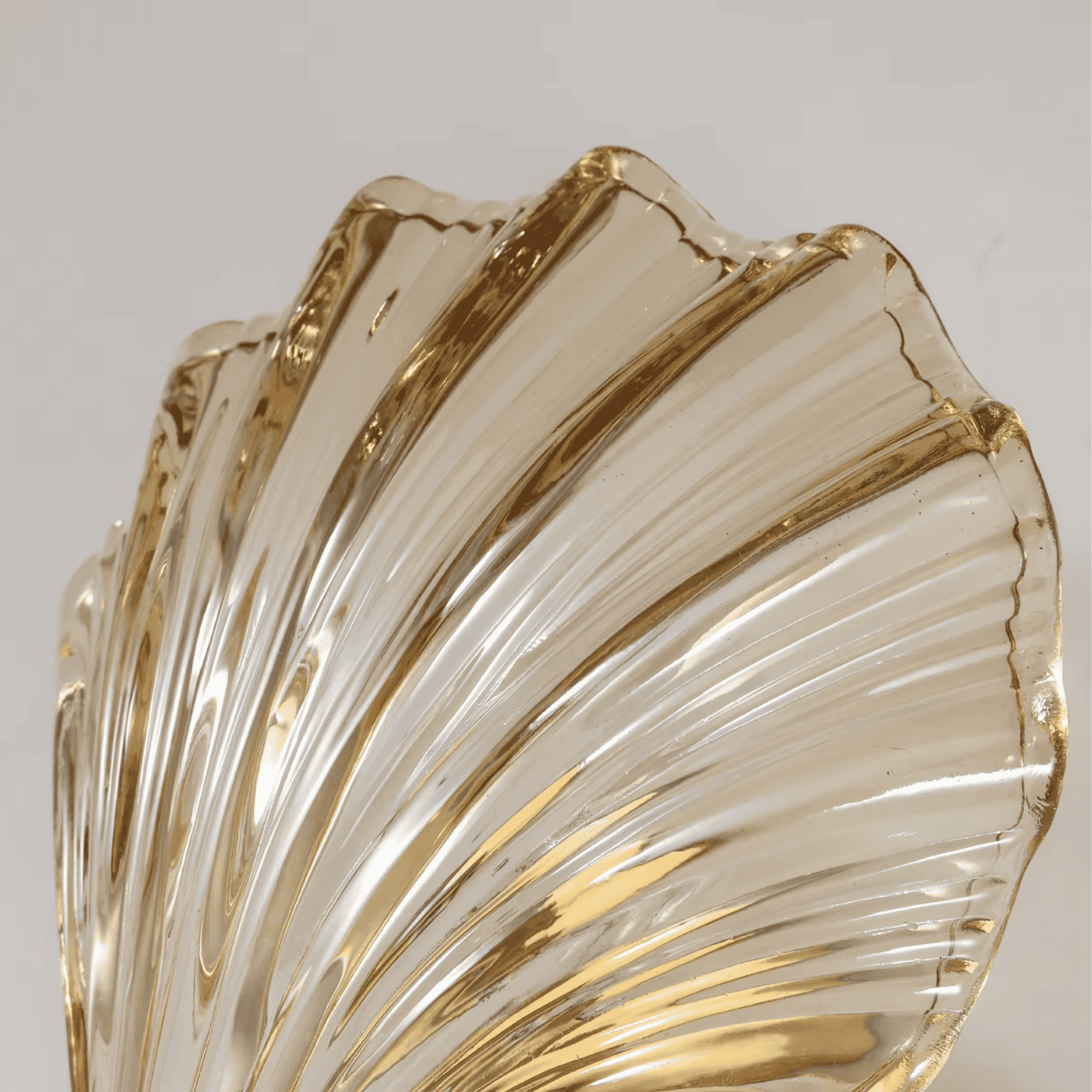 Amber Shell Glass Wall Sconce – Nature-Inspired Brass Light Fixture for Bathrooms, Bedrooms & Modern Interiors