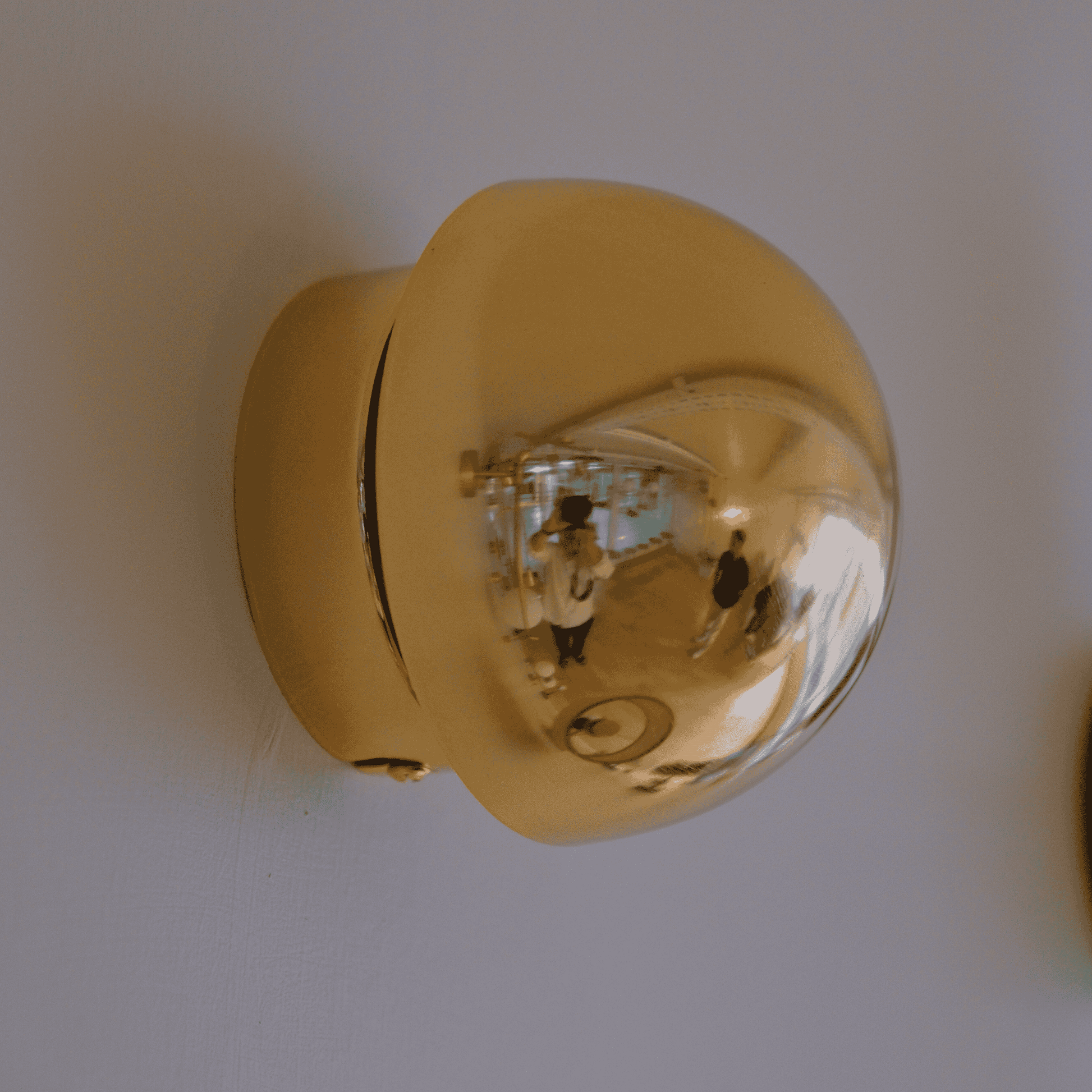 Brass half-globe wall sconce with warm LED glow mounted on an interior wall.