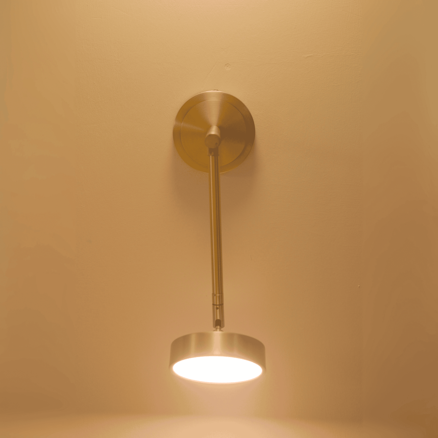 Modern Brass Wall Sconce with Adjustable Arm